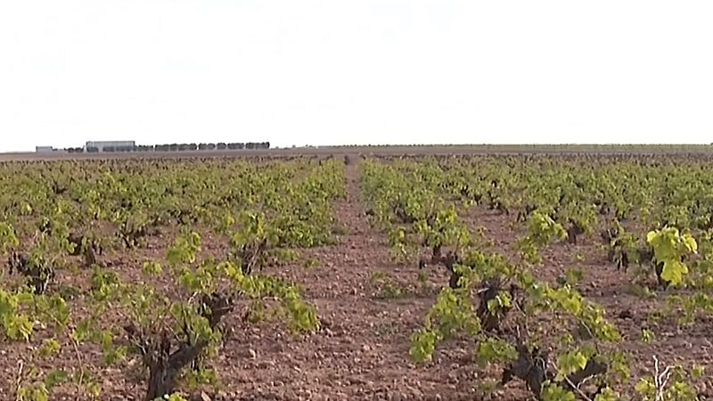 La agricultura, el sector más amenazado por el cambio climático