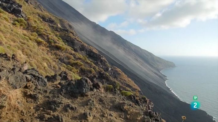 Som Documentals - La vida als extrems