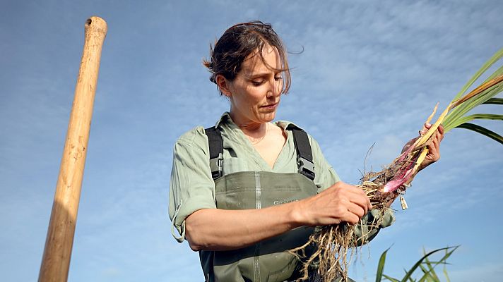 Reduce tu huella - Cañas y barro