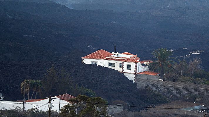 Diario 24 - Diario 24 - 04/11/21