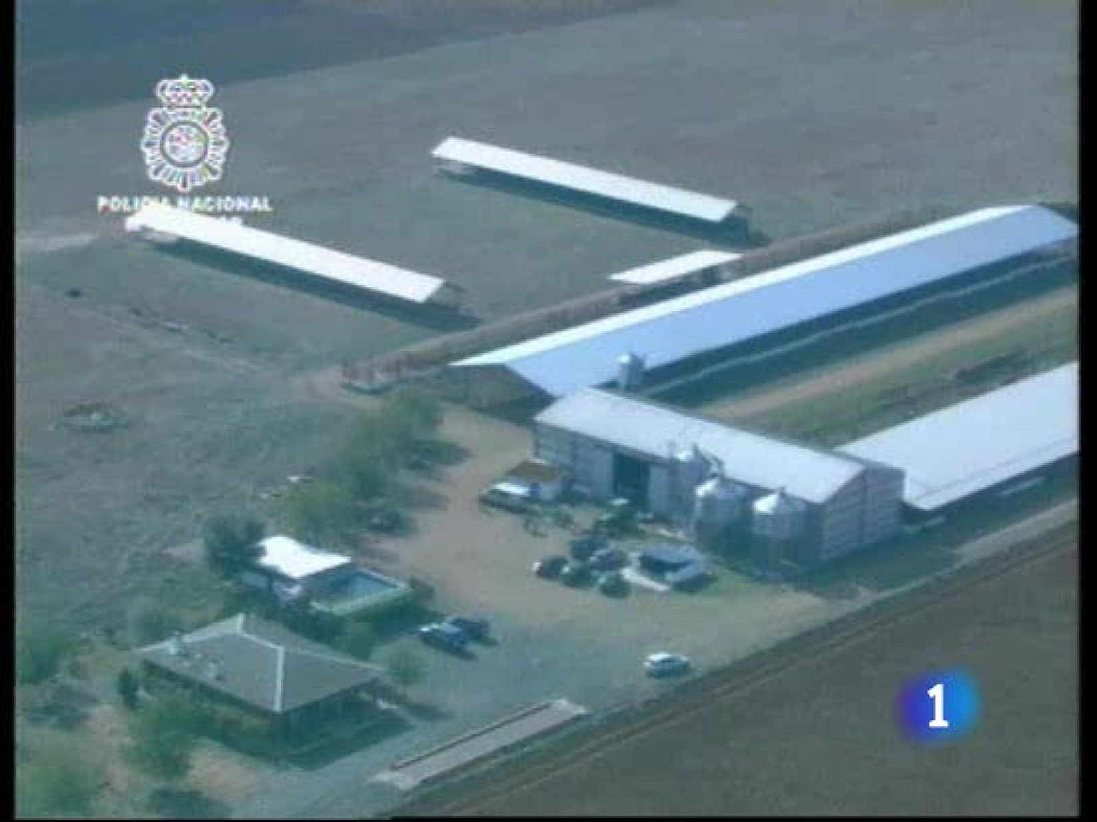 La policía ha desmantelado en Daimiel lo que considera el mayor laboratorio clandestino de cocaína | Ver