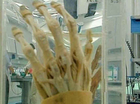 Documentos TV - ¿Cuánto vale tu cadáver?