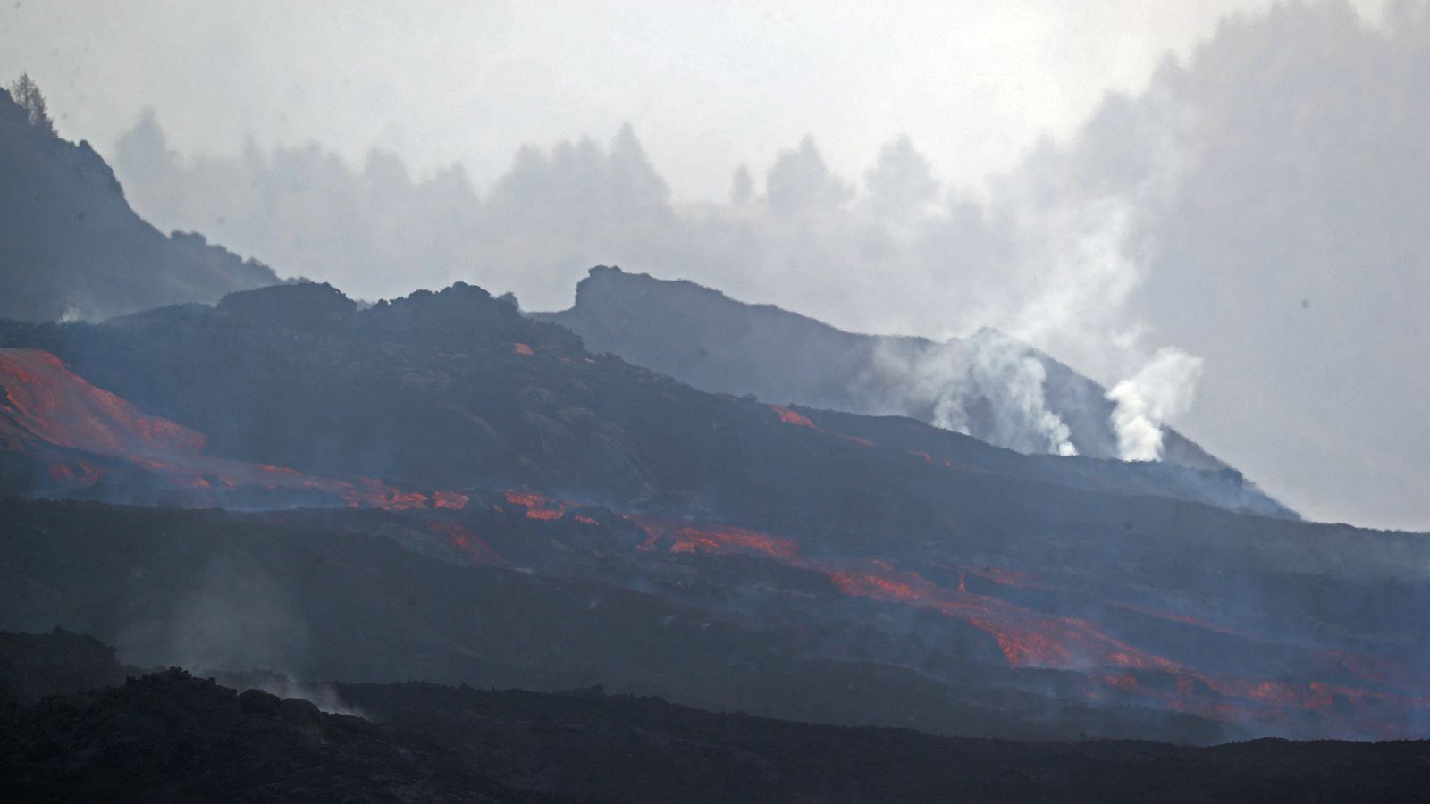 La tarde en 24 horas - 04/11/21  - ver ahora