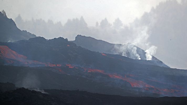 La tarde en 24h - La tarde en 24 horas - 04/11/21