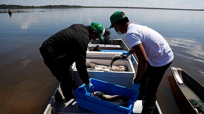 Telediario 1 - La queja de los pescadores franceses ante la falta de licencias británicas: "Los ingleses pueden pescar cuando quieran"