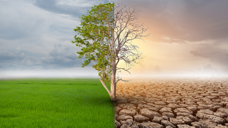 España Directo - ¿Cómo se mide la sostenibilidad de las ciudades?