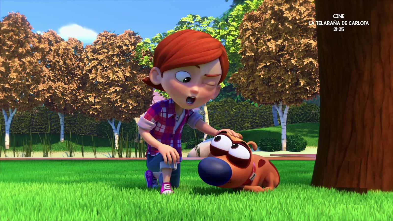 Bailando con las pulgas - Pat el perro | Ver