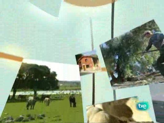 Agrosfera - Agrosfera - 31/10/09