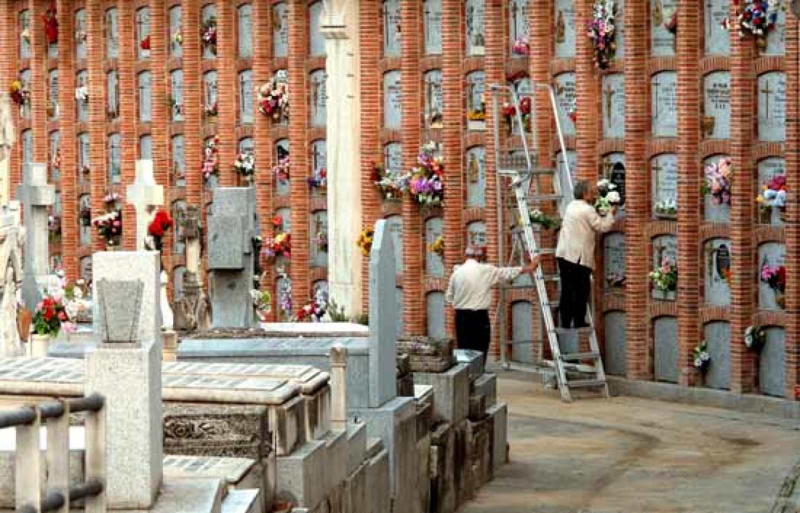 El coste de morirse | Ver