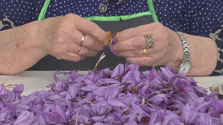 Agrosfera - Agrosfera - 06/11/21