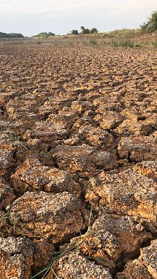 Informe Semanal - Informe Semanal - 06/11/21