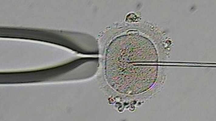La noche temática - La lucha por la fertilidad