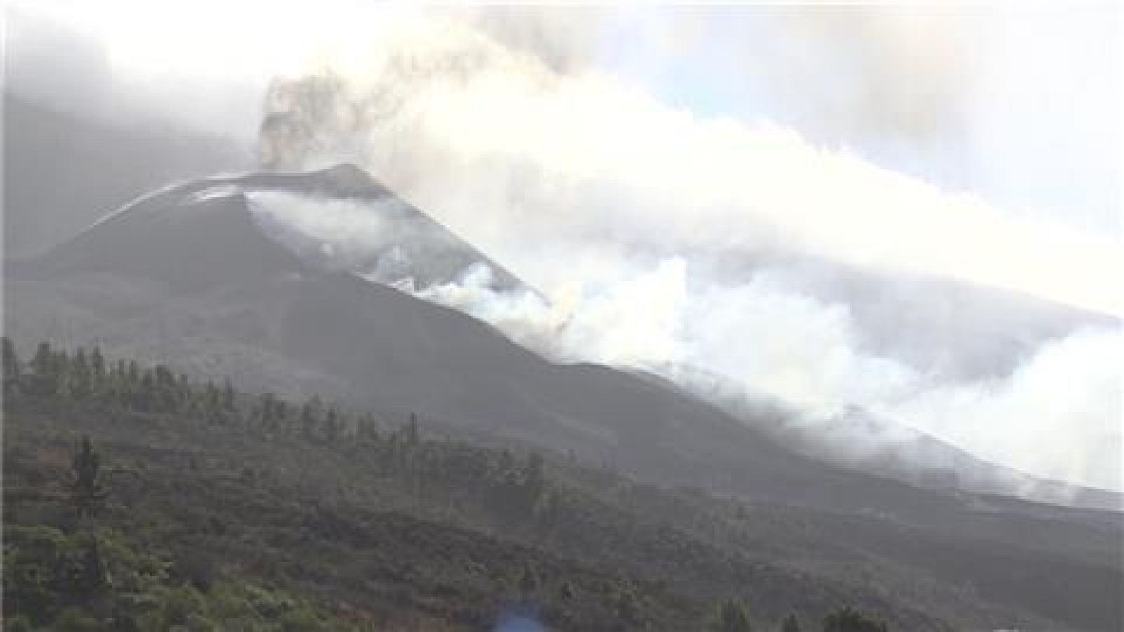 Telecanarias - 07/11/2021