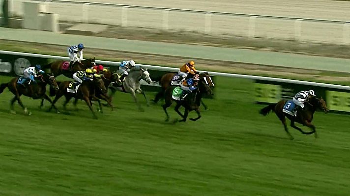 Hípica - Carreras de caballos. Hipódromo de La Zarzuela
