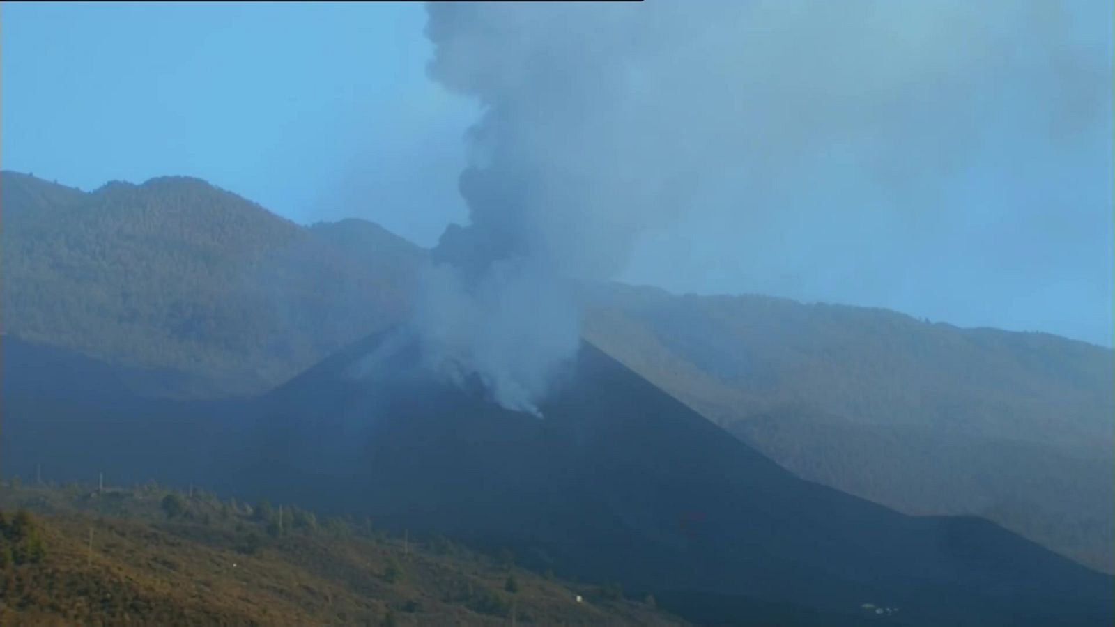 La tarde en 24 horas - 08/11/21 (1) - ver ahora