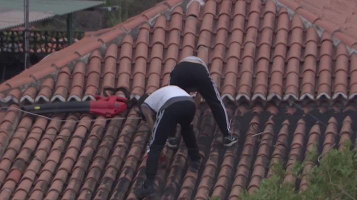 La tarde en 24h - La tarde en 24 horas - 08/11/21 (2)