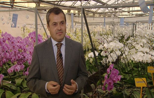 Fábrica de ideas - Imita: Eligflor