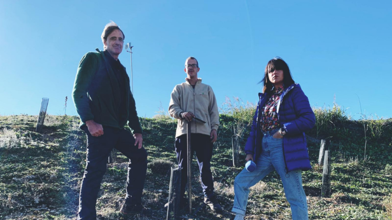 España Directo - España, uno de los países más vulnerables a la desertificación