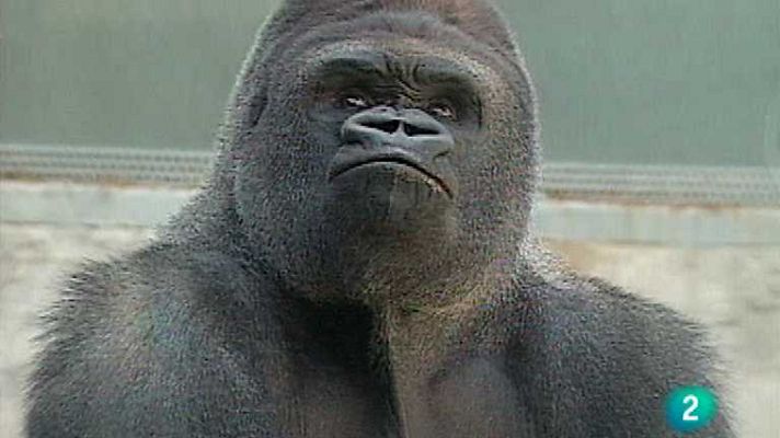 El vínculo con la Tierra - Zoológicos y acuarios