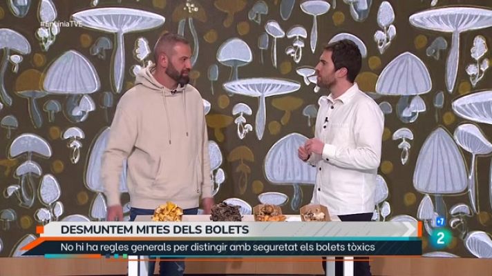 En Línia - Temporada de bolets