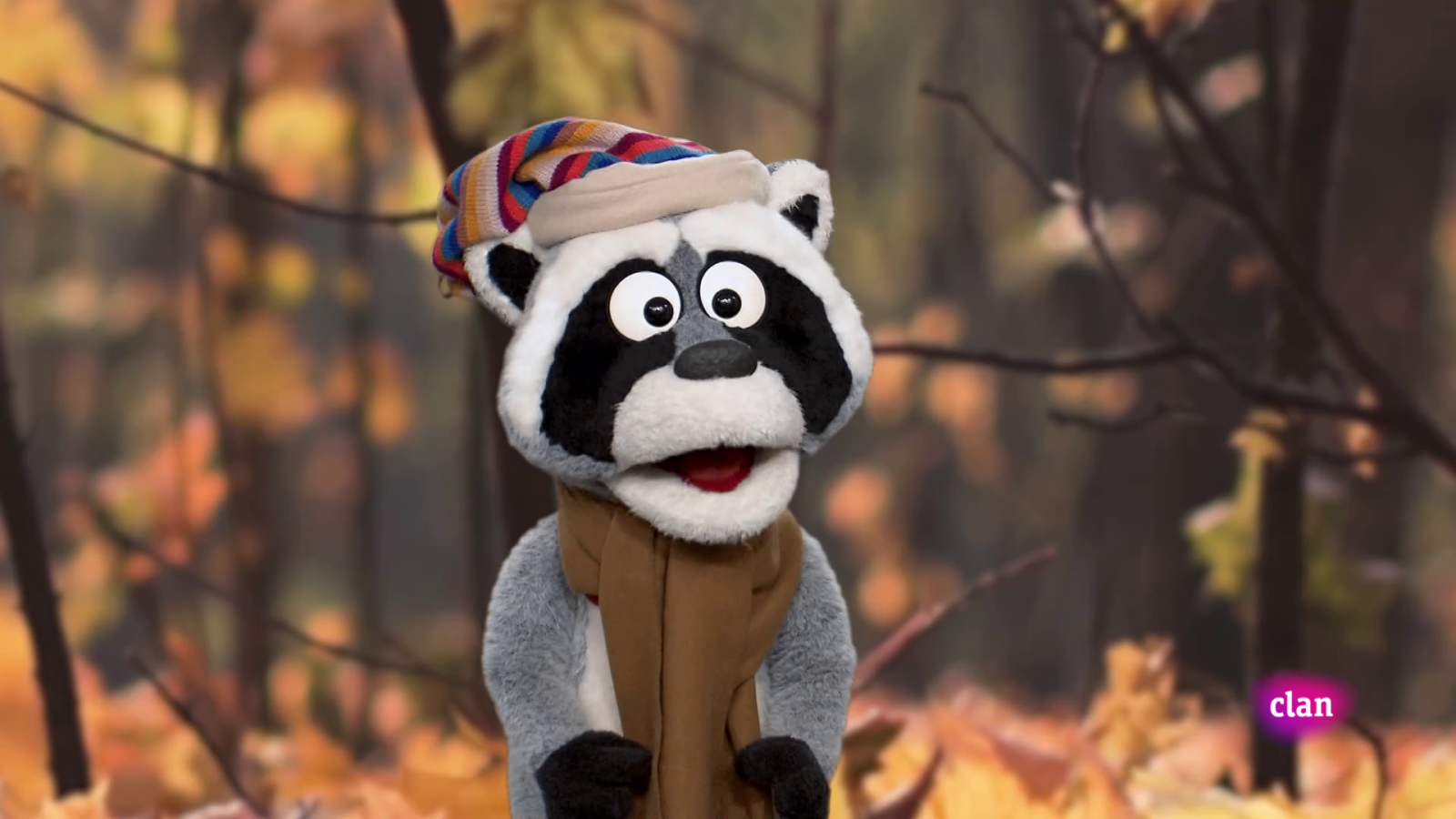 ¡Mapache otoñal! - Aprendemos en Clan | Ver