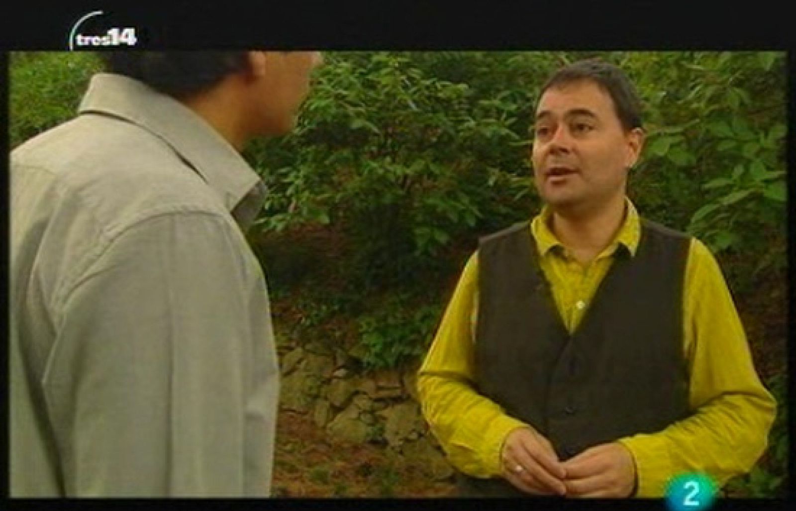 Jordi Bascompte (insectos)