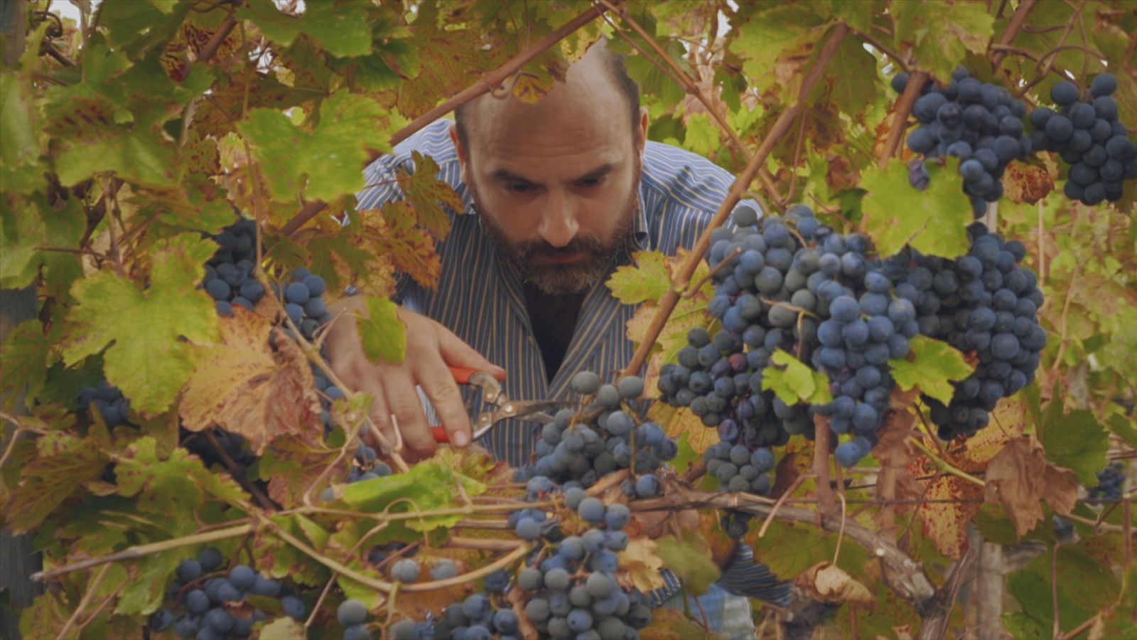 Pasión por Italia - T2 - Episodio 2: Campania - ver ahora