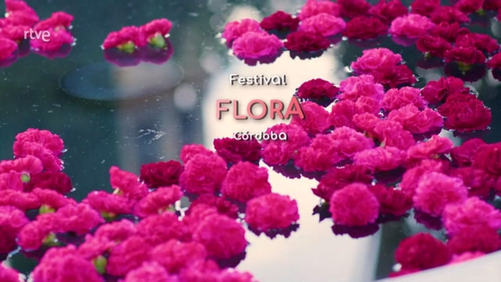 La aventura del saber - Festival FLORA, cuarta edición - ver ahora