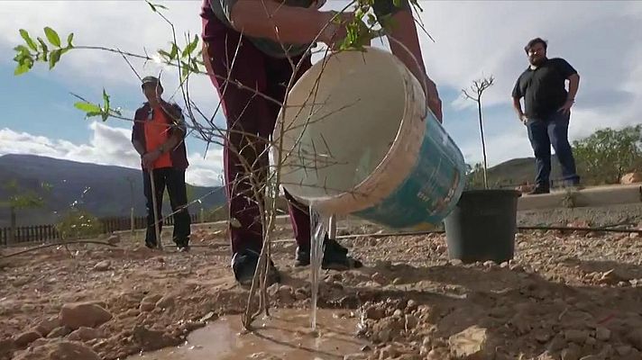 Telediario 1 - Almócita, un pequeño pueblo de Almeria donde la economía sostenible ya es una realidad