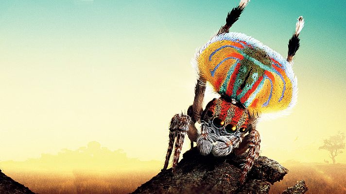 La mágica Tierra de Oz - Tierra