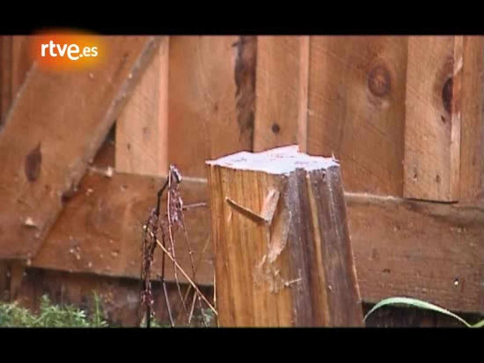 El sumario de Guillermo Fesser en 59 segundos. Fesser envía sus crónicas desde Estados Unidos.