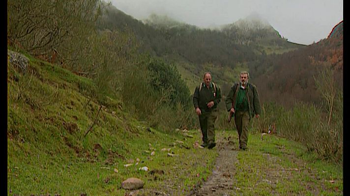 Jara y sedal - Una mirada desde las nubes