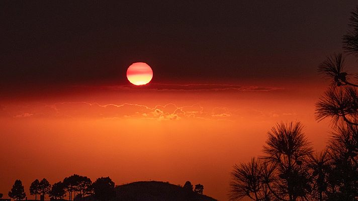Telediario 1 - Telediario en 4' 13/11/2021