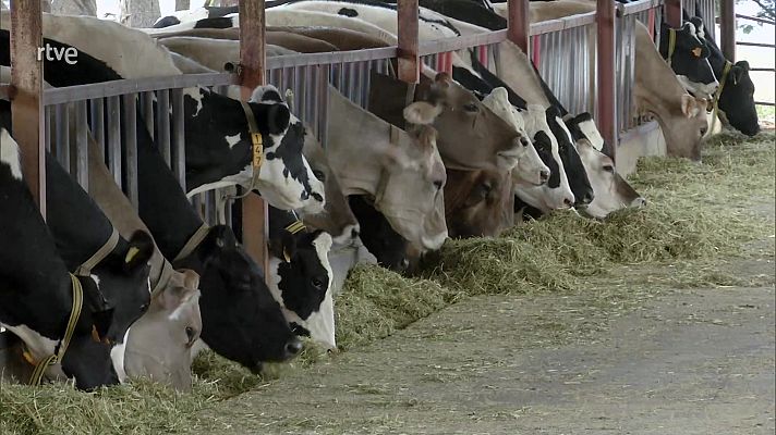 Agrosfera - Agrosfera - 13/11/21