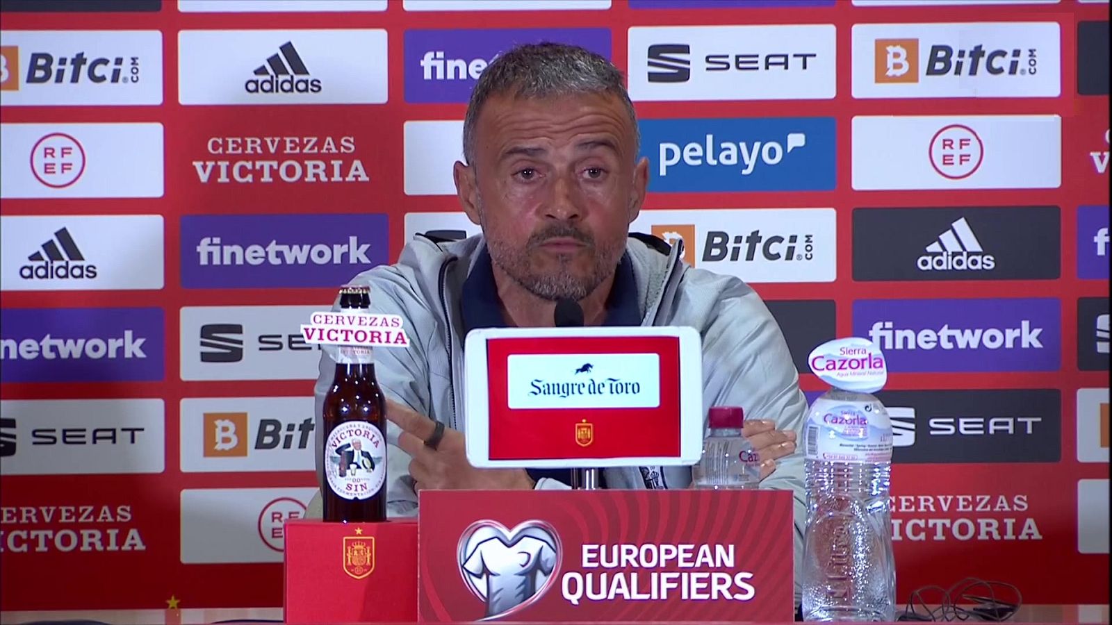 Fútbol - Previo España - Suecia. Rueda de prensa del seleccionador y entrenamiento selección - ver ahora