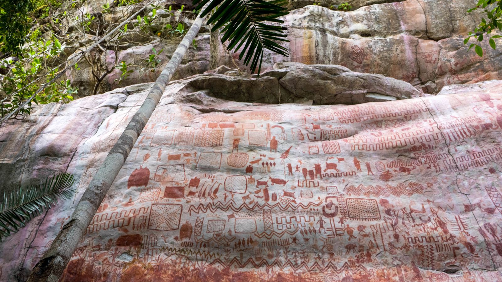Amazonía, el mundo perdido - Episodio 2 - ver ahora