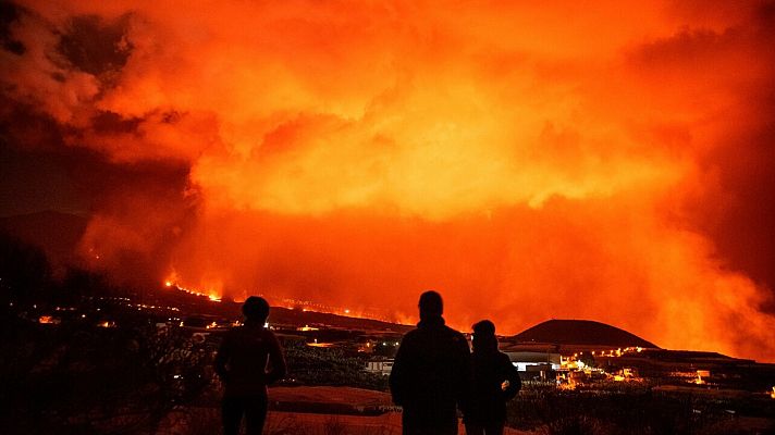 Diario 24 - Diario 24 - 15/11/21 (1)