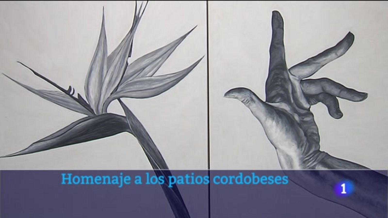 El dedo verde: Un homenaje a los patios cordobeses - Noticias Andalucía | Ver