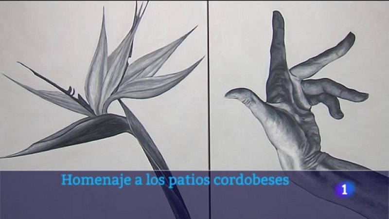 El dedo verde: Un homenaje a los patios cordobeses - Noticias Andalucía | Ver