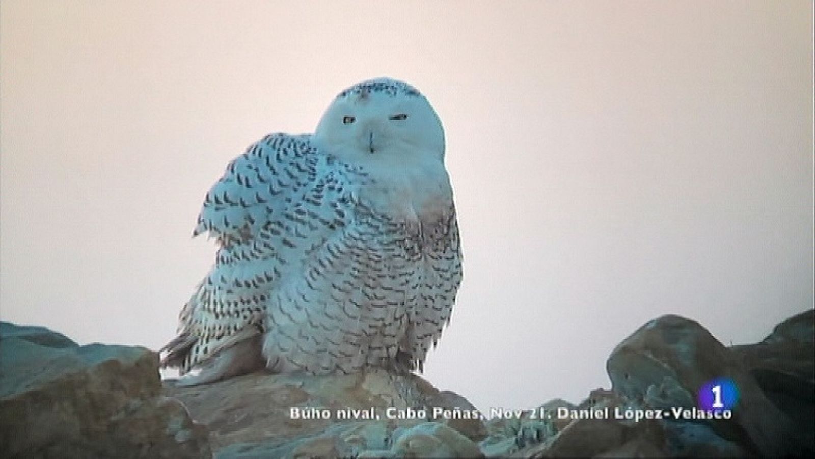 Panorama Regional - 16/11/21 | Ver