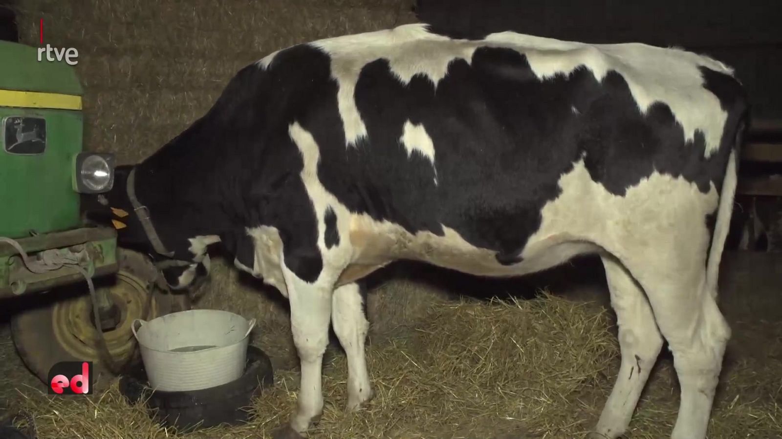 España Directo - 16/11/21 - ver ahora