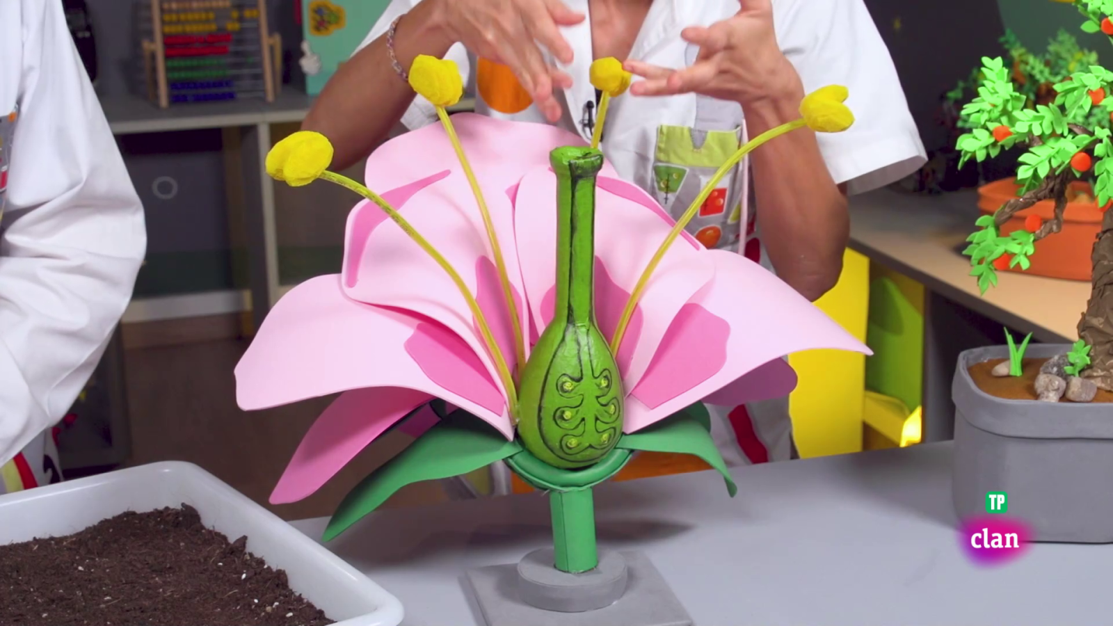 CIENCIAS NATURALES - La dispersión de semillas - Aprendemos en Clan | Ver