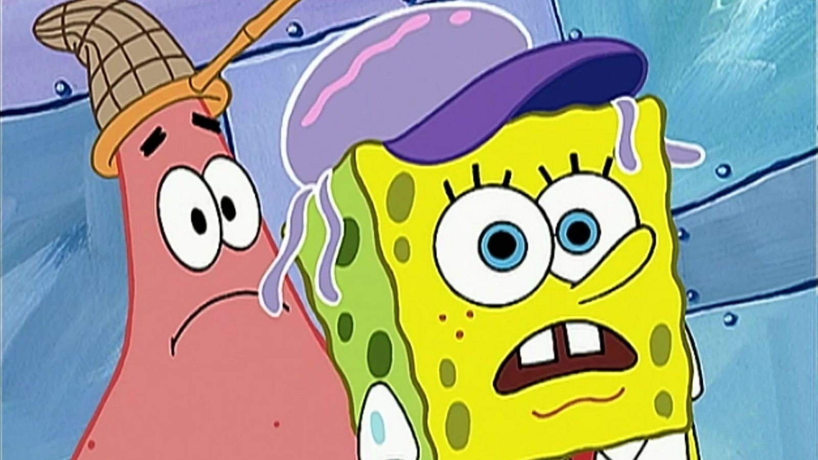 Soy tu mayor fan - Bob Esponja | Ver