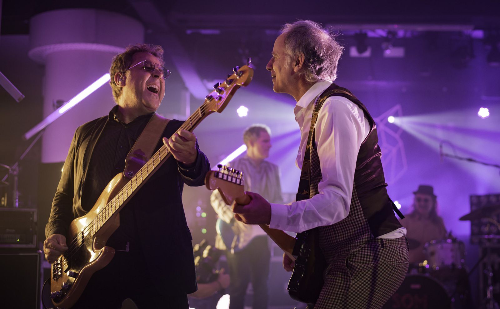 Efecte Collins - Els Pets