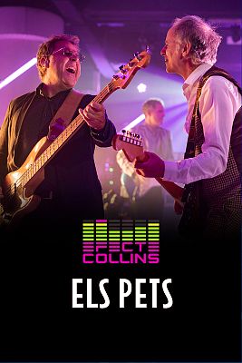 Efecte Collins - Els Pets - Efecte Collins