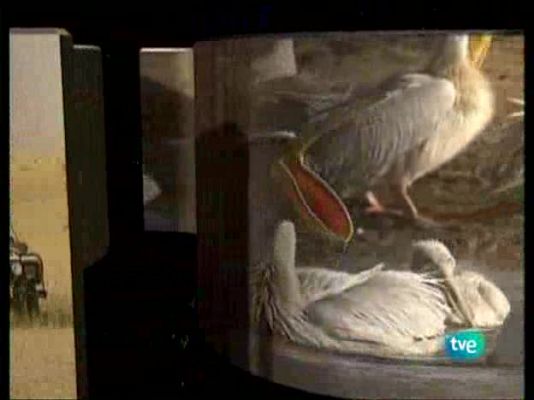 La ruta de los exploradores - El continente misterioso