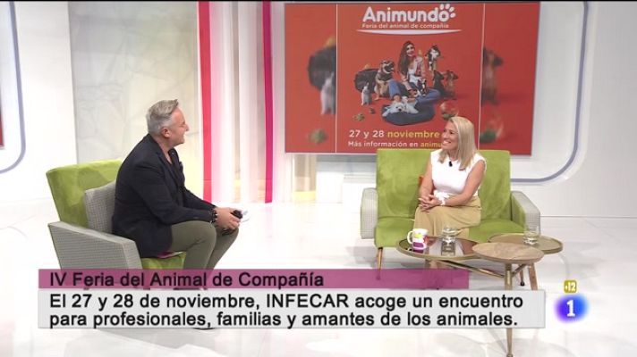 Cerca de ti - Cerca de ti - 18/11/21