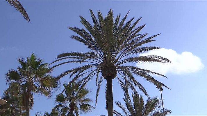 El tiempo - Probables precipitaciones localmente fuertes en el Estrecho, Almería y sur de Valencia