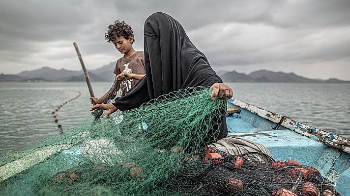 Para todos La 2 - Para todos La 2 - 20/11/21