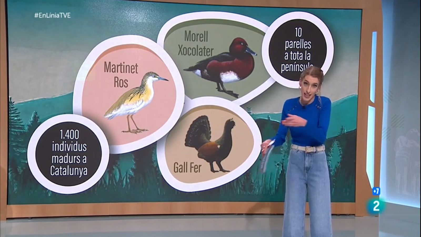 A Catalunya hi ha 37 espècies d'ocells amanenaçades d'extinció